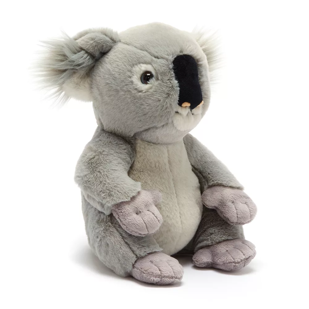 National Geographic Peluche Moyenne Bébé Koala 3 National Geographic Peluche Moyenne Bébé Koala – Image 3