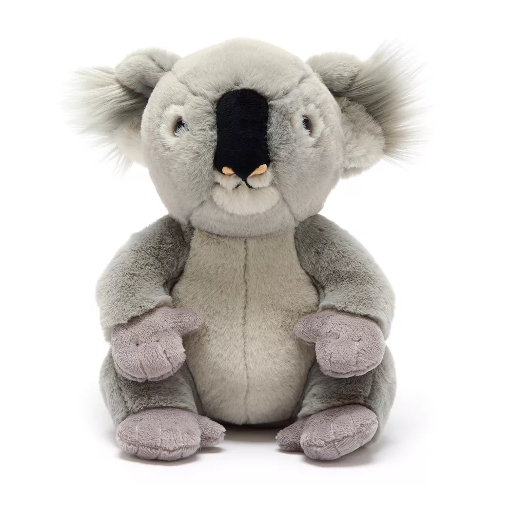 National Geographic Peluche Moyenne Bébé Koala 1 National Geographic Peluche Moyenne Bébé Koala