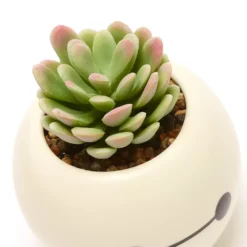 Disney Store Plante Artificielle En Pot Baymax, Les Nouveaux Héros 9 Disney Store Plante Artificielle En Pot Baymax, Les Nouveaux Héros -Jouets Soldes 465043353962 4