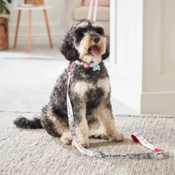 Disney Store Collier Pour Chien Les 101 Dalmatiens 7 Disney Store Collier Pour Chien Les 101 Dalmatiens -Jouets Soldes 6504051700029M 2